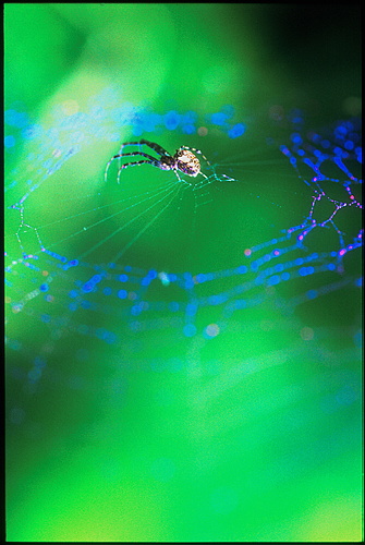 xavier151.jpg (79560 octets)