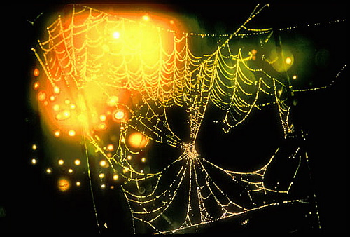 xavier160.jpg (89722 octets)